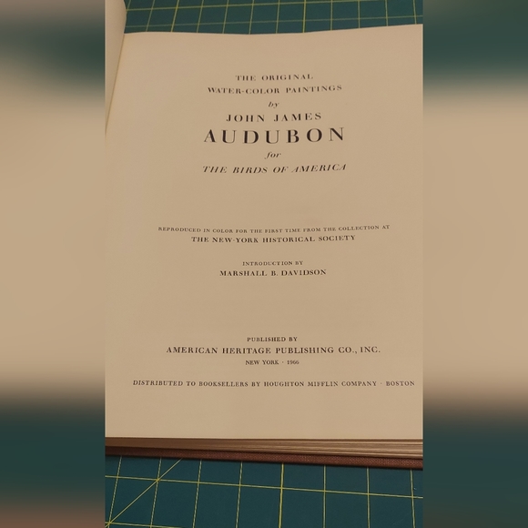 Bullocks Oriole, John James Audubon - Picture 3 of 4